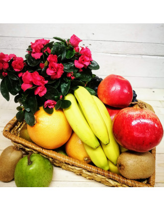 Fruit basket 5kg