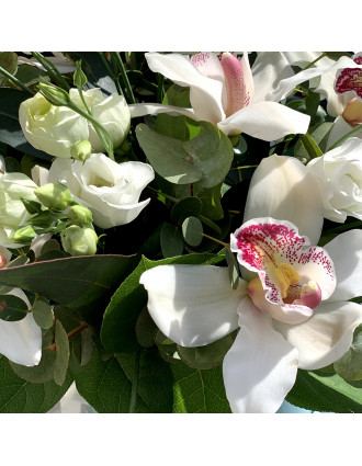 Baltas orhidejas cepuru kārbā