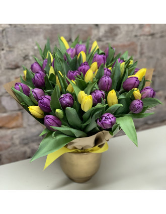 51 or 101 mixed purple&yellow tulips