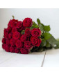 Sarkanas rozes  (40cm)