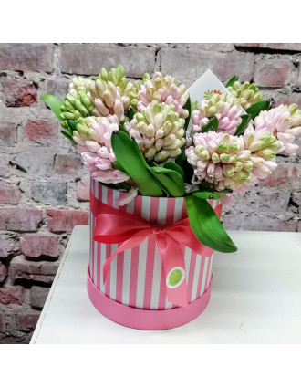 25 pink hyacinths in hat box