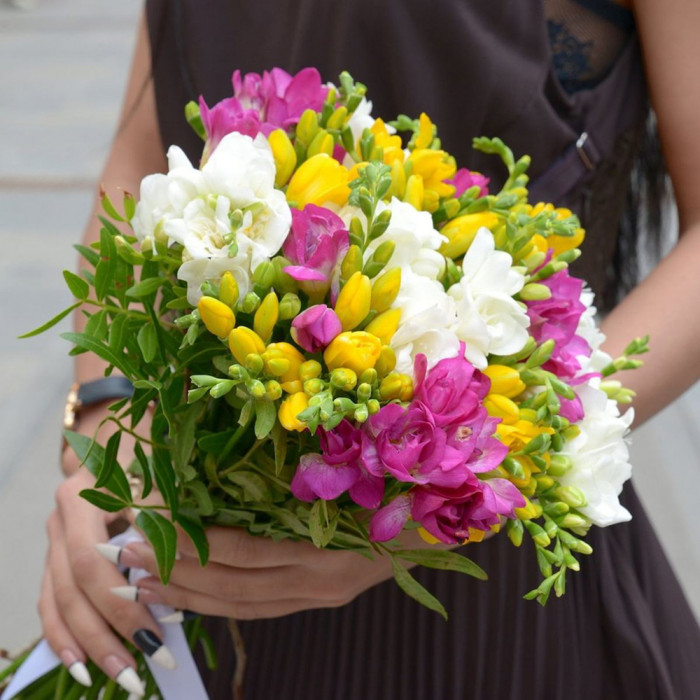 Multicolored Freesias Bouquet