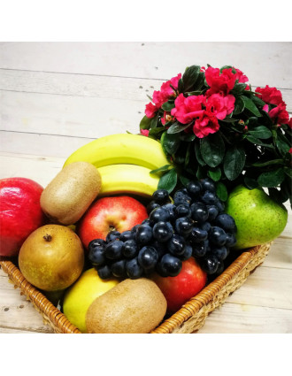 Fruit basket "Surprise" 5kg