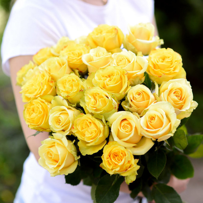Жёлтые  розы (50cm/60cm)