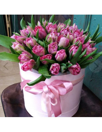 Box with 49 pink Tulips