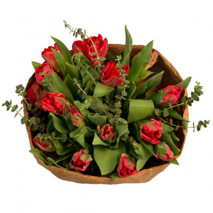 Red tulips & Eucalyptus