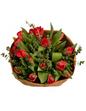Red tulips & Eucalyptus