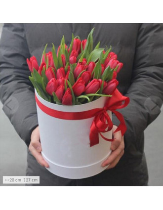 Шляпная коробка красных тюльпанов 35шт