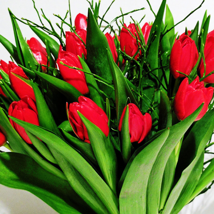 Букет красных тюльпанов "Симона"