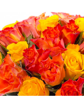 Multicolored Roses "Sunset"