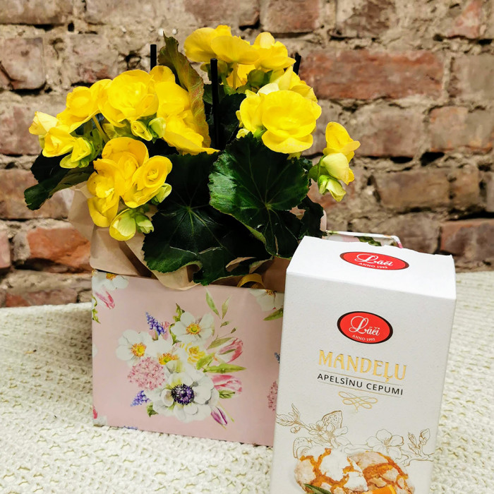 Flowering Plant & Almond Biscuits
