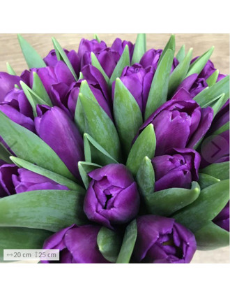 29 фиолетовых тюльпанов в коробке
