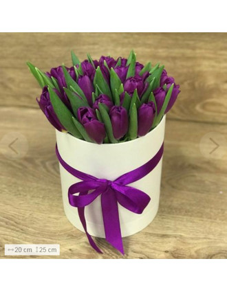 29 purple tulips in a box