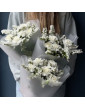 Bouquet of white carnations...