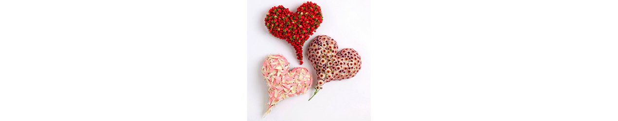 Flower hearts